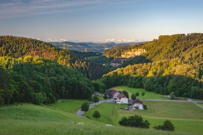 Blick ins Albtal Dirk Döbele Blick ins grün bewaldetet Tal mit dem Gasthaus Löwen im Vordergrund