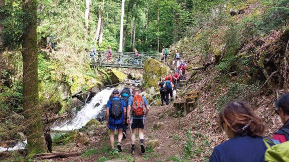 21K Wandermarathon Wandergruppe im Wald